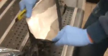 ראשל"צ: שחרור לארבעה מוכרים למשטרה בחשד לסחר בקוקאין
