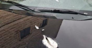 עראבה: ירי מרכב חולף על בית משפחה ידועה