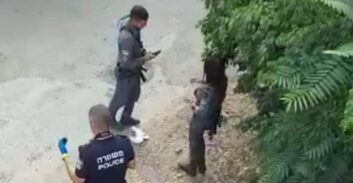 לוד ללא הפסקה: רצח וארבעה פצועים מירי ודקירות בשלושה אירועים