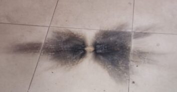 אחרי פיצוץ המטען: רימון לעבר אותו צ'יינג' בפרדס חנה