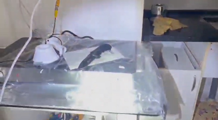 video