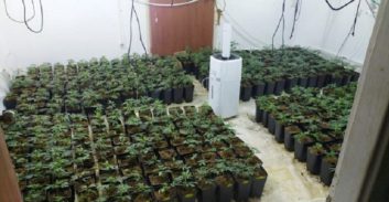 70 ק"ג קנאביס בעליון: מ-16 חודשי מאסר לעבודות שירות