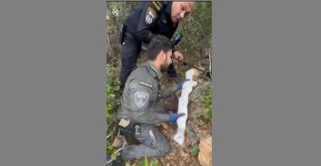 פעילות מבצעית בוואדי ערה: נתפסו קלצ'ניקוב, אקדח ורימוני רסס