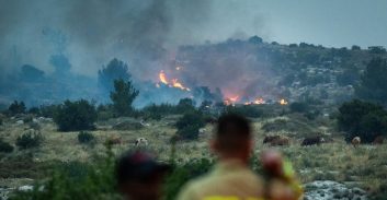 סטודנט לסיעוד פרסם באינסטגרם שבחים לגל השריפות ונעצר על עידוד טרור