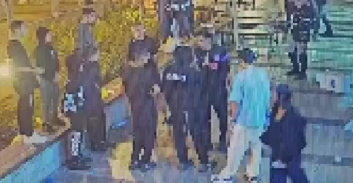 גן העדן של האלימות נוצר בוואקום של מערכת אכיפת החוק