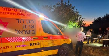 חשד לרצח והתאבדות: בני זוג אותרו ירויים בשפלה